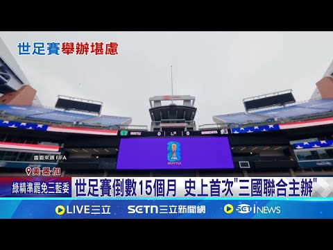 中国体育界,巨星,稀缺,世界杯投注,2026世界杯,投注技巧,赔率分析,赛事预测