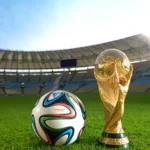 樊振东等四,人将获全国,先进工作者,世界杯投注,2026世界杯,投注技巧,赔率分析,赛事预测