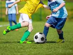 杨少钦砍下,分老鹰力克,黄蜂,世界杯投注,2026世界杯,投注技巧,赔率分析,赛事预测